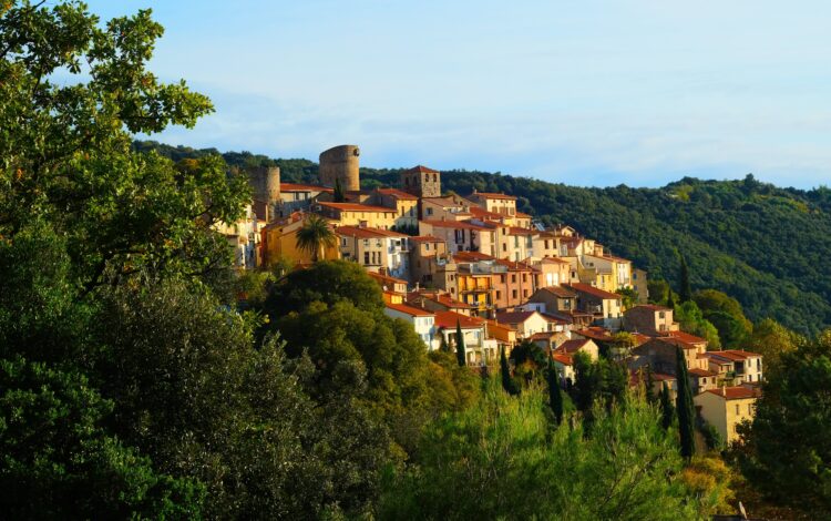 VISITE GUIDÉE DE PALALDA